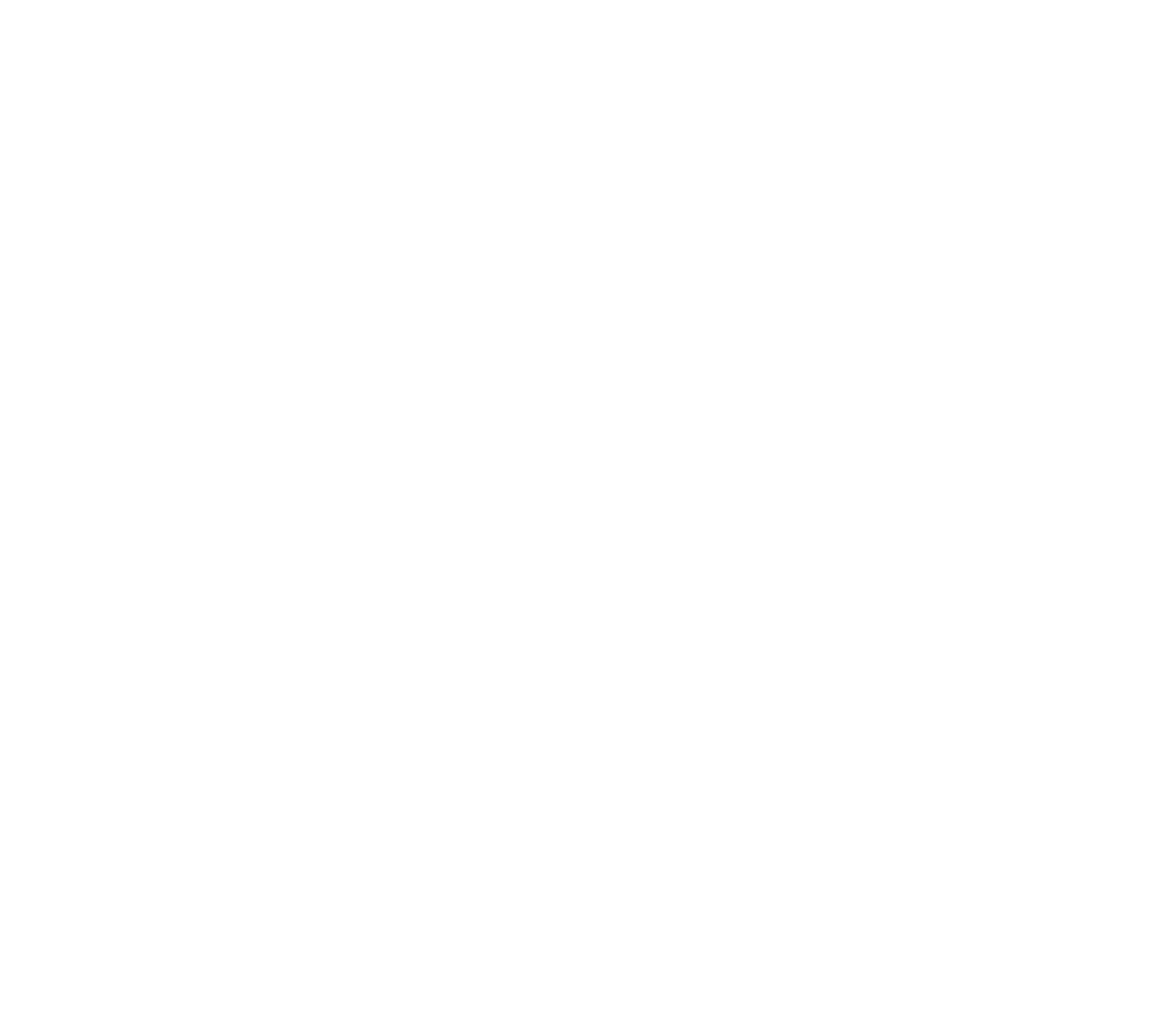 FM logo bianco